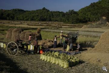 Landwirtschaft in Myanmar