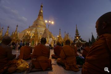 Buddhistischer Mönche an der Shwedagon Pagode
