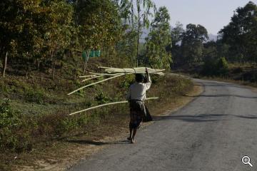 Frau mit Bambusstangen