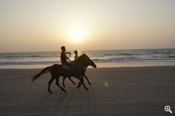 Pferdereiten am Ngwe Saung Beach in Burma