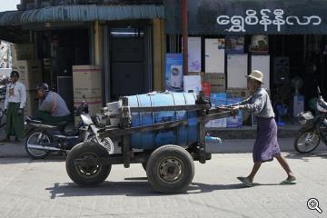 Burmese mit Wasserfass