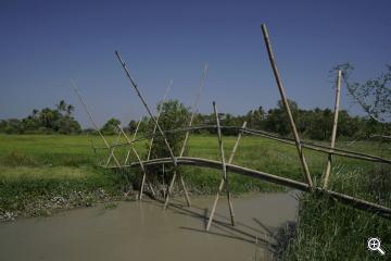 Bambusbrücke über Bewässerungskanal