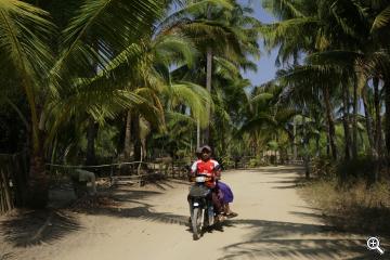 Mit dem Motorrad durch Palmenplantagen