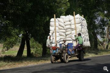 Fahrzeug mit Reissäcken beladen