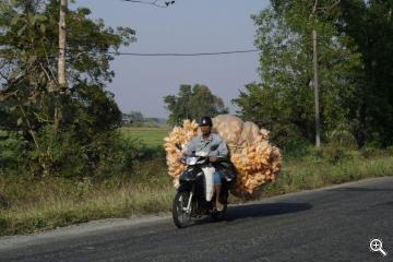 Motorrad mit Snacks