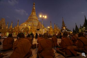 Buddhistischer Mönche an der Shwedagon Pagode in Burma