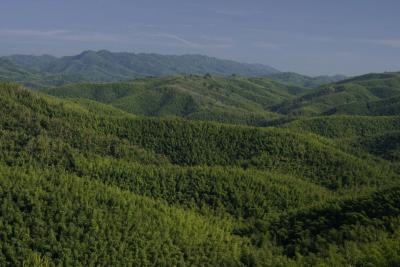 Hügelige Landschaft in Burma
